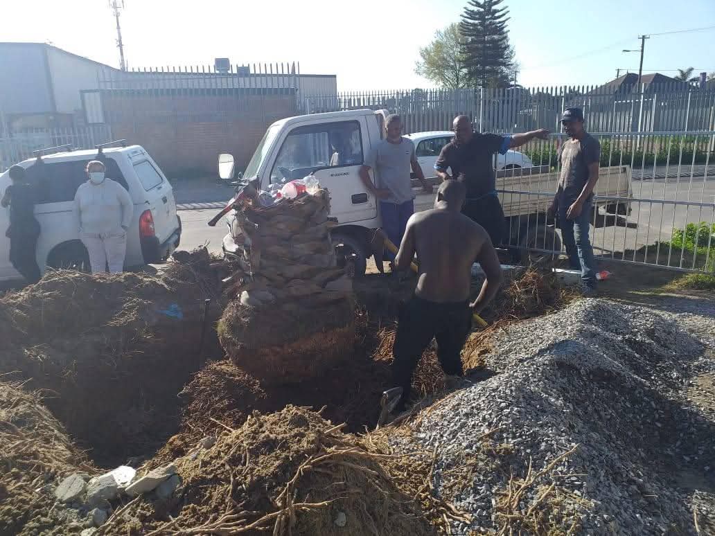 Commercial clearing